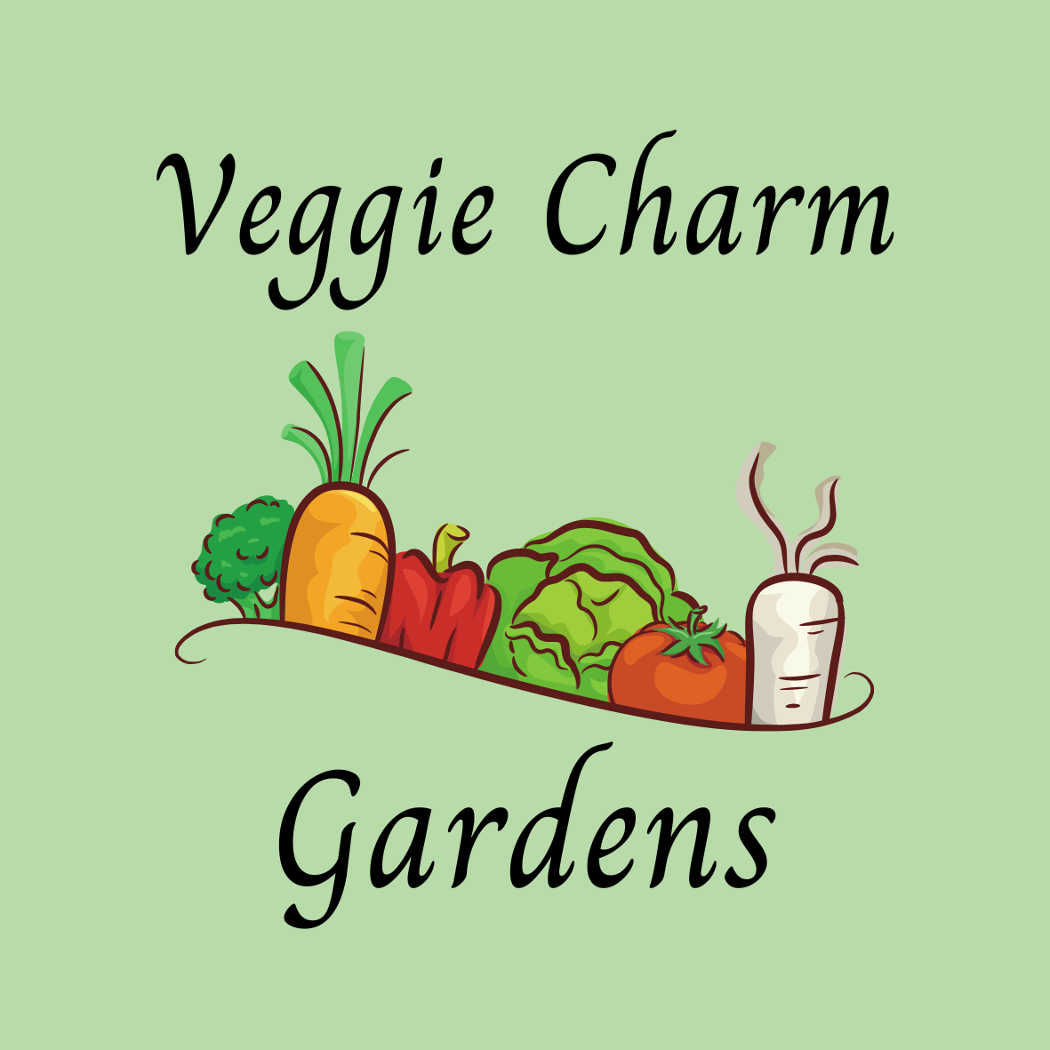 VCG logo.png